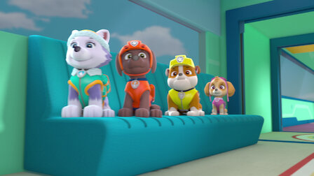 pups raise the paw patroller