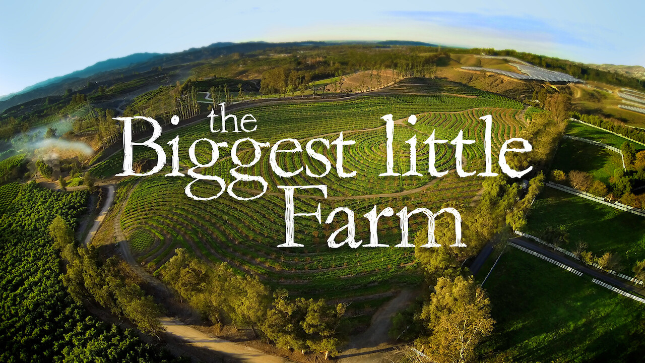 Is 'The Biggest Little Farm' available to watch on ...